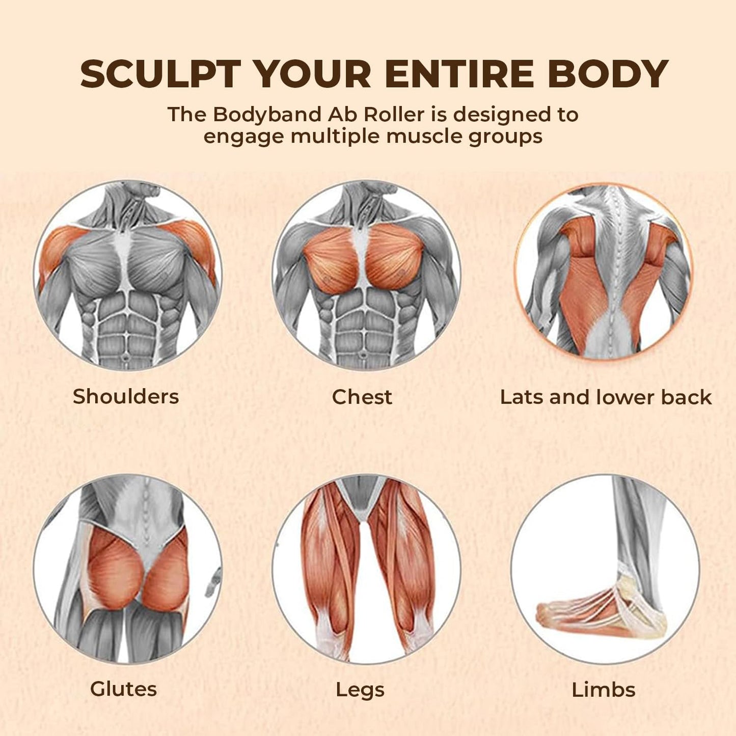 FaveGrove™ Abs Roller