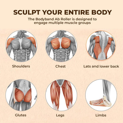 FaveGrove™ Abs Roller